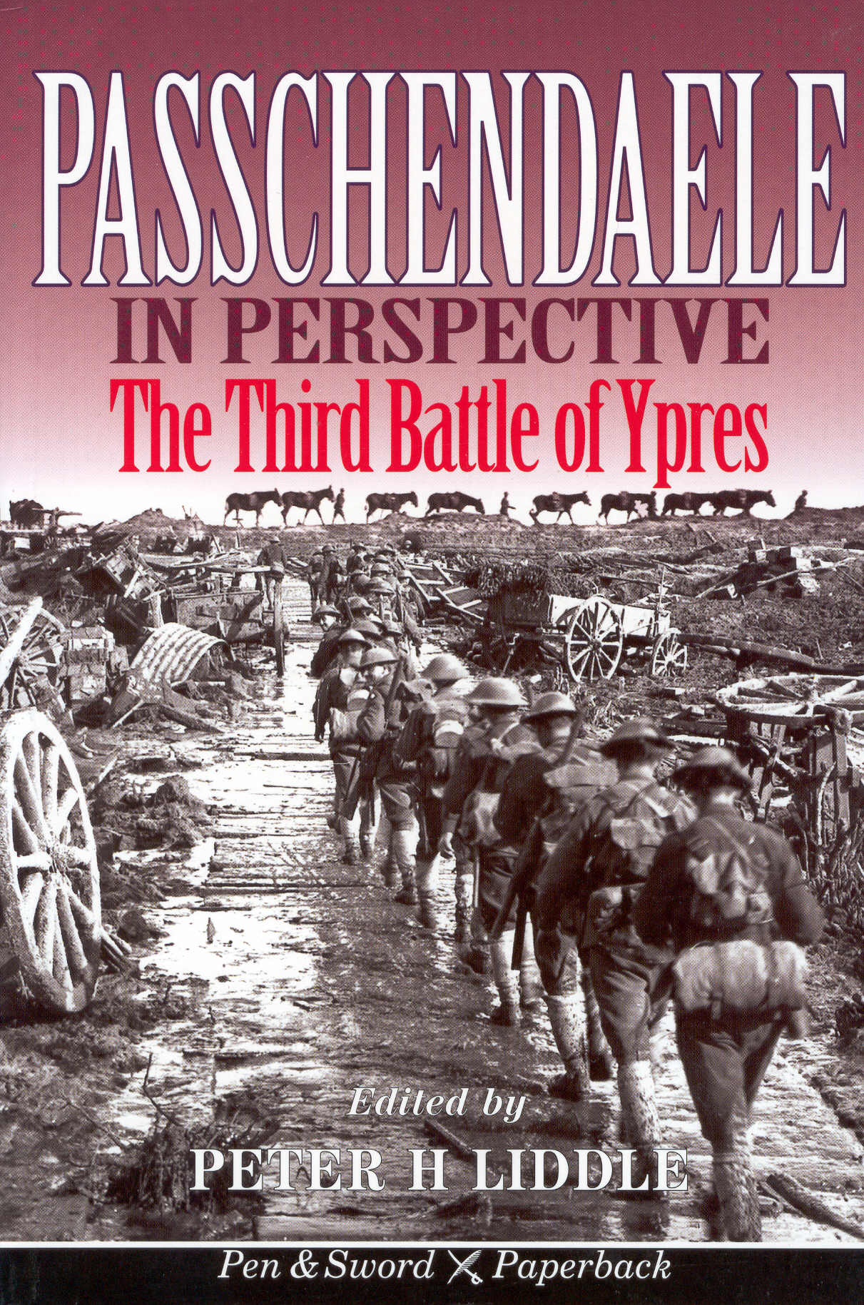 Battle passchendaele essay